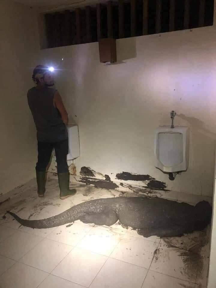 This meme is an image of a person standing in a dirty, flooded bathroom, surrounded by trash and debris. The caption reads "When you finally get to the bathroom after a 3 hour hike but it's just a flooded mess". The image is humorous because it's relatable to people who have experienced the frustration of finding a dirty or unhygienic bathroom after a long hike or outdoor adventure.